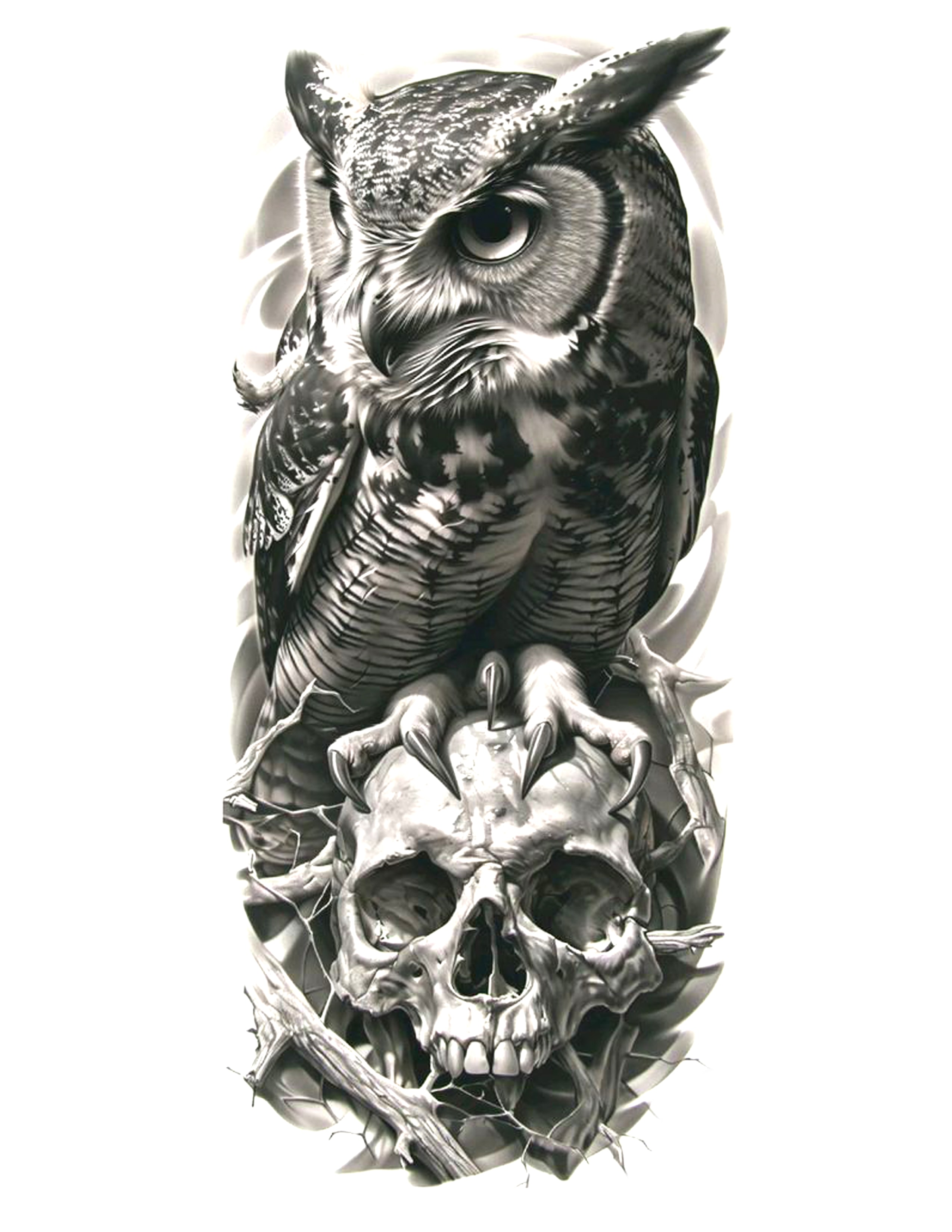 Owl & Skull