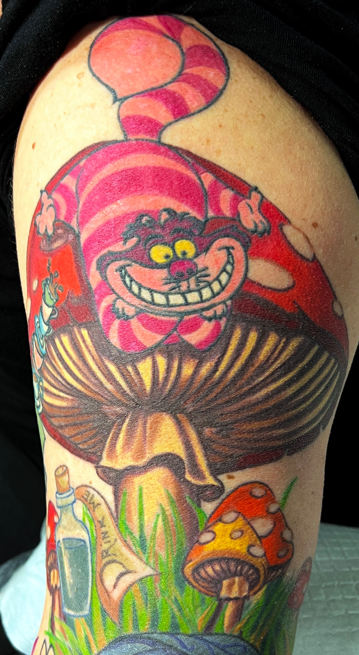Cheshire Cat