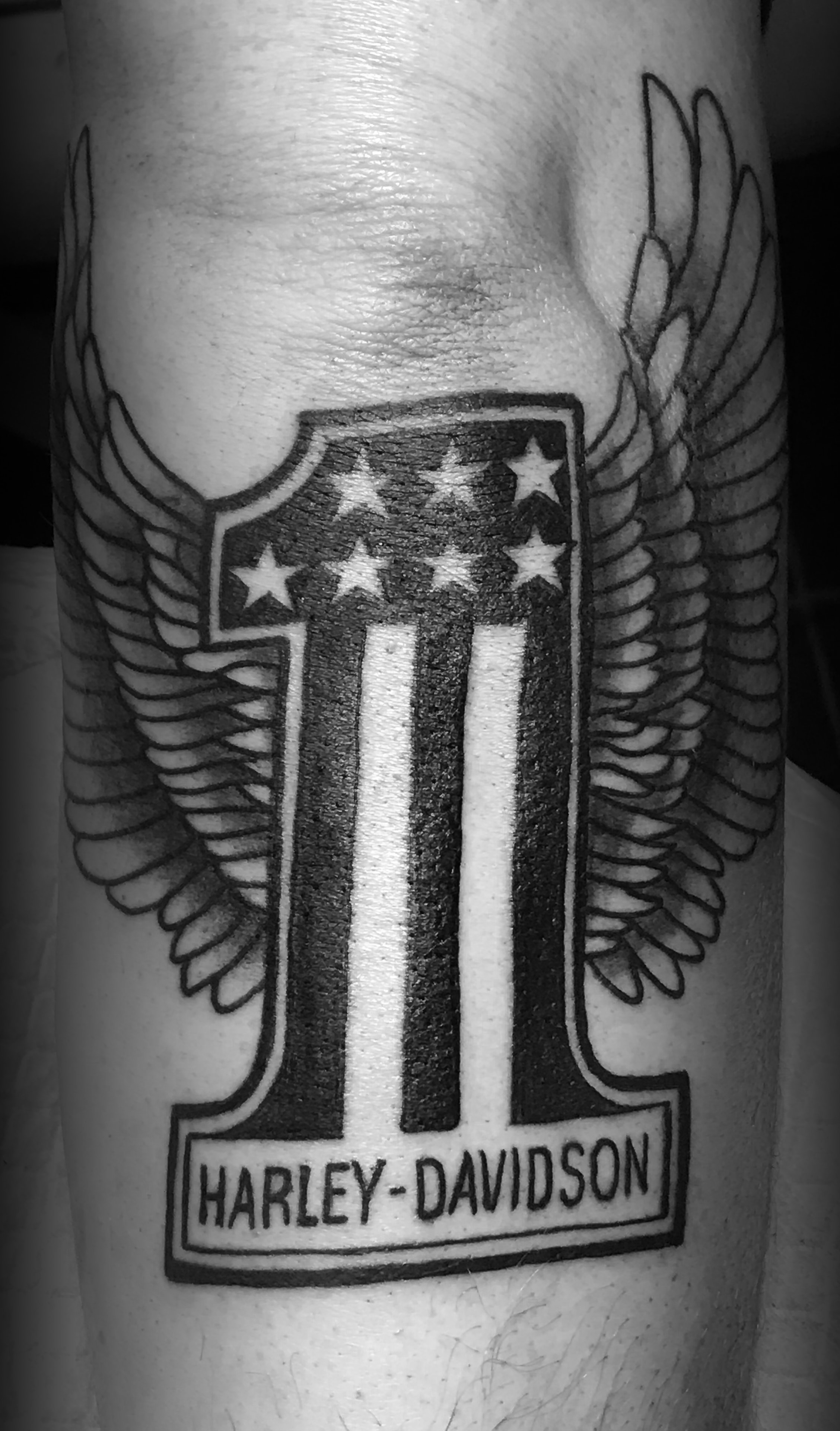 HD #1 Wings