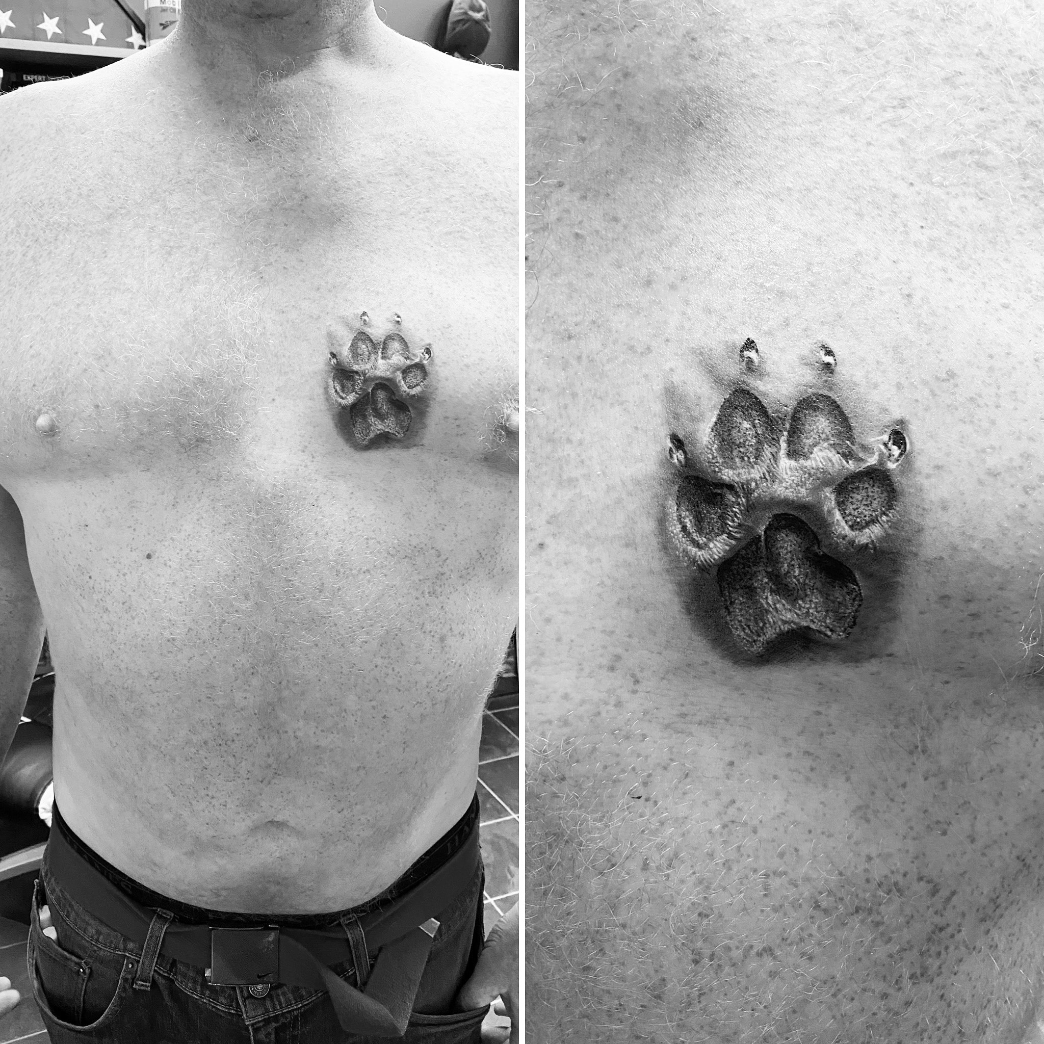 Paw Imprint